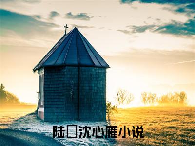 陆璟沈心雁（陆璟沈心雁）全章节完整版《陆璟沈心雁》全文阅读TXT《陆璟沈心雁》