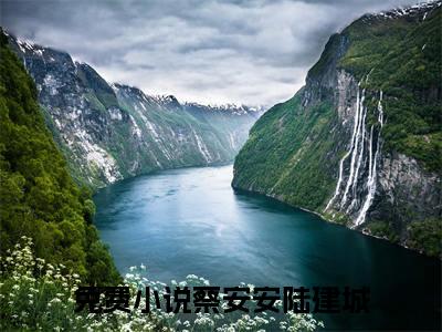 蔡安安陆建城(八零军嫂，硬汉老公不离婚)小说全文免费阅读无弹窗大结局_蔡安安陆建城小说免费阅读最新章节列表笔趣阁（八零军嫂，硬汉老公不离婚）