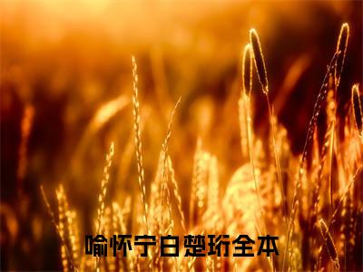 私藏读物《喻怀宁白楚珩》小说全文免费阅读-微小说（喻怀宁白楚珩）完整版阅读