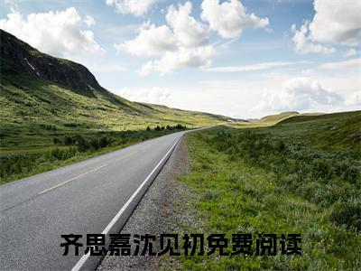 齐思嘉沈见初的小说免费阅读（齐思嘉沈见初小说免费阅读）全文免费阅读大结局-齐思嘉沈见初热门榜单好书推荐