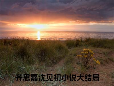 齐思嘉沈见初（齐思嘉沈见初）全文免费阅读无弹窗大结局-（齐思嘉沈见初免费阅读全文大结局）最新章节