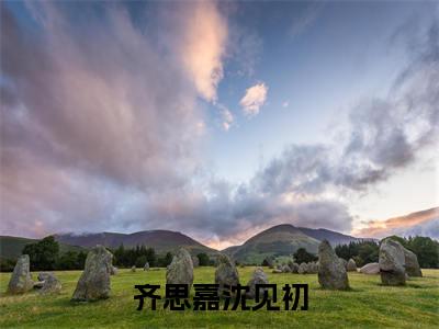 齐思嘉沈见初小说全文免费阅读(齐思嘉沈见初)全文免费阅读无弹窗大结局_ 齐思嘉沈见初最新章节列表_笔趣阁（齐思嘉沈见初小说）