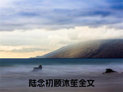 多人追的热门小说（陆念初顾沐笙）-陆念初顾沐笙小说最新章节免费阅读