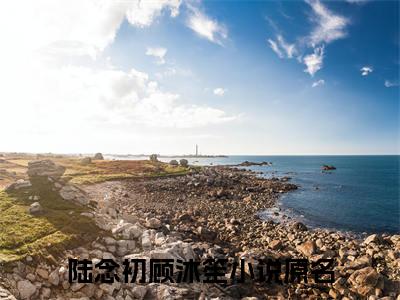 陆念初顾沐笙无广告小说免费阅读，陆念初顾沐笙完结小说在线阅读