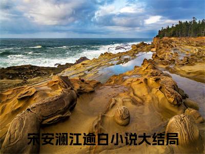 宋安澜江逾白免费阅读大结局无弹窗-小说推荐宋安澜江逾白精彩章节在线阅读
