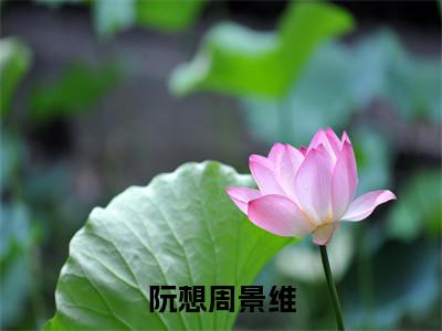 回国后，傲娇大佬日日痴缠的小说（阮想周景维）免费阅读_回国后，傲娇大佬日日痴缠小说免费阅读-笔趣阁（阮想周景维）