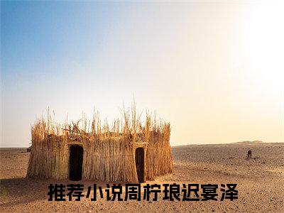 周柠琅迟宴泽小说在线阅读（周柠琅迟宴泽）全文免费阅读无弹窗大结局_周柠琅迟宴泽小说免费最新章节列表_笔趣阁（周柠琅迟宴泽）