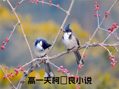 高一夫柯袆良（高一夫柯袆良）全文免费阅读无弹窗大结局_(高一夫柯袆良免费阅读)高一夫柯袆良最新章节列表_笔趣阁