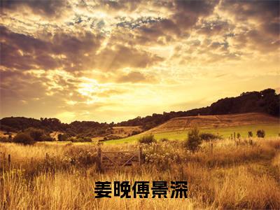 傅总你就从了她吧是哪部小说的主角，姜晚傅景深全文在线赏析
