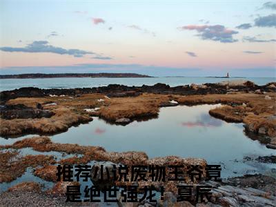 废物王爷竟是绝世强龙！夏辰小说已完结（废物王爷竟是绝世强龙！夏辰）全文免费阅读无弹窗大结局_废物王爷竟是绝世强龙！夏辰最新章节列表（废物王爷竟是绝世强龙！夏辰）