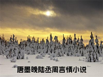 唐墨晚陆丞周新书同眠于荣耀之间看全文小说-唐墨晚陆丞周小说资源阅读同眠于荣耀之间