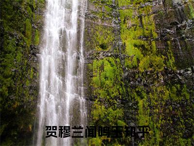 贺穆兰闻鸣玉美文欣赏完整版 贺穆兰闻鸣玉免费全本小说