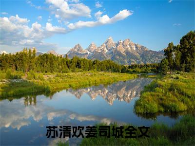主角为苏清欢姜司城的小说-苏清欢姜司城小说全文免费阅读