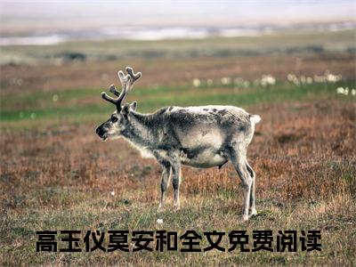 高玉仪莫安和（高玉仪莫安和）完整版全文全章节阅读高玉仪莫安和