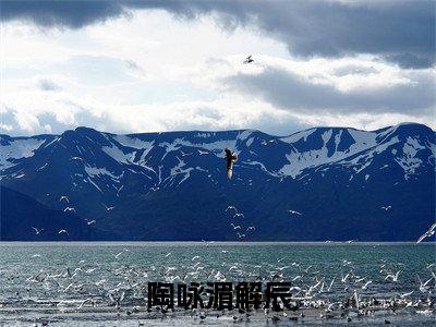 陶咏湄解辰免费小说,陶咏湄解辰全文免费阅读无弹窗大结局