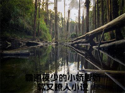 （热推新书）《夜寒诀白梦棠》全文免费阅读无弹窗大结局_霸道夜少的小娇妻娇软又撩人无弹窗全文阅读