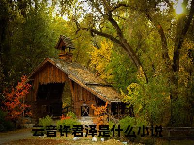 男女主人公云音许君泽小说云音许君泽全文免费阅读