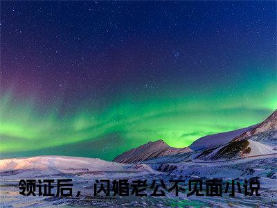领证后，闪婚老公不见面免费版最新更新阅读- 莫菲菲楚风城小说全文在线阅读
