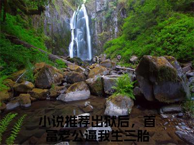 出狱后，首富老公逼我生三胎(宋欢傅辰年)全文在线阅读无弹窗大结局_宋欢傅辰年全文无弹窗最新章节列表_笔趣阁