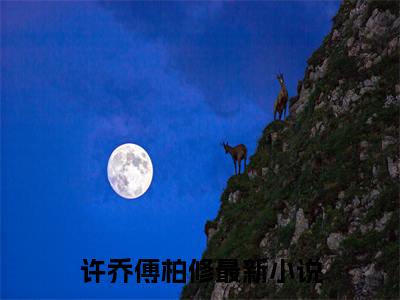 蚀骨情深，傅总回首已晚（完整版）小说推荐-蚀骨情深，傅总回首已晚热文小说许乔傅柏修免费阅读全文
