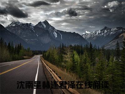 沈南星赫连君泽狂拽医妃，讹了个战神当夫君完整全文在线阅读 狂拽医妃，讹了个战神当夫君抖音热推小说全集无删减