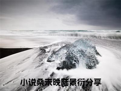 女生看的小说推荐桑未晚陆景衍-桑未晚陆景衍小说免费阅读