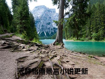 宋静怡傅景言全文免费阅读无弹窗大结局_ 宋静怡傅景言热门章节在线阅读笔趣阁