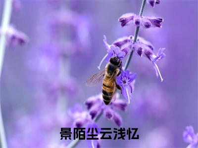 云浅忆景陌尘（景陌尘云浅忆）免费最新小说_景陌尘云浅忆（云浅忆景陌尘）免费版今日已更新