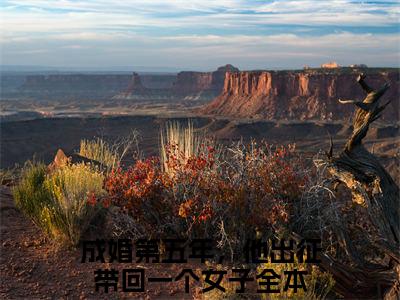 成婚第五年，他出征带回一个女子（孟微澜谢安淮）全文免费阅读_（成婚第五年，他出征带回一个女子）孟微澜谢安淮最新章节小说免费阅读_笔趣阁（成婚第五年，他出征带回一个女子）