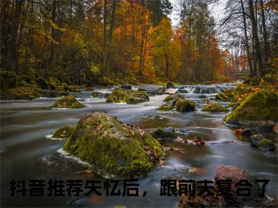尹秋月孟嘉令txt（失忆后，跟前夫复合了）全文免费阅读无弹窗大结局_尹秋月孟嘉令最新章节列表_笔趣阁（失忆后，跟前夫复合了）
