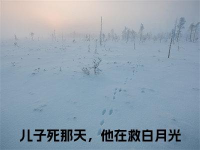 儿子死那天，他在救白月光高赞小说（颜璐顾青裴）完结阅读_颜璐顾青裴免费看全文