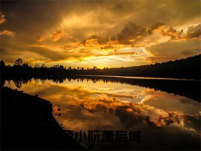 顾小阮萧启域阅读无弹窗大结局_（顾小阮萧启域阅读无弹窗）最新章节列表_笔趣阁（顾小阮萧启域）