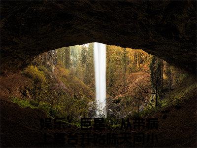 娱乐：巨星，从带病上舞台开始陈天问（娱乐：巨星，从带病上舞台开始陈天问）全文免费阅读无弹窗大结局_娱乐：巨星，从带病上舞台开始陈天问在线阅读（娱乐：巨星，从带病上舞台开始陈天问）