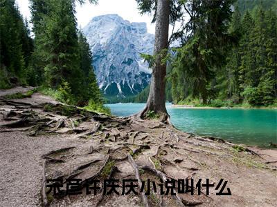 宋彦许庆庆全文免费阅读-（宋彦许庆庆）小说全文免费阅读正版无弹窗