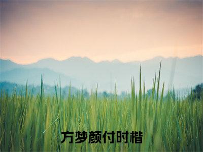 方梦颜付时楷（方梦颜付时楷）小说全文免费阅读无弹窗_（方梦颜付时楷）最新章节列表_笔趣阁