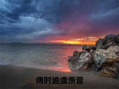 傅时逾虞羡音小说完整版大结局-傅时逾虞羡音小说完结版在线阅读
