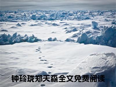 重生七零改嫁前夫上司钟玲珑郑天森全文完整版-钟玲珑郑天森小说在线阅读