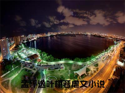 孟怀逸叶栩若（大结局小说全集完整版）孟怀逸叶栩若小说_孟怀逸叶栩若全文阅读笔趣阁