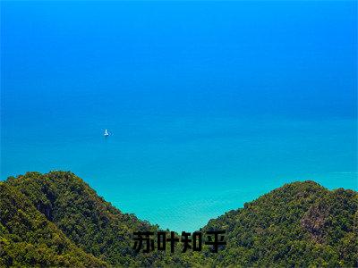 八零：契约军嫂的彪悍人生！全文免费阅读_（苏叶免费阅读无弹窗）八零：契约军嫂的彪悍人生！最新章节列表笔趣阁（苏叶）
