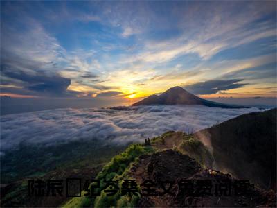 陆辰晞纪岑桑全文免费阅读无弹窗大结局_(陆辰晞纪岑桑)免费阅读全文无弹窗_