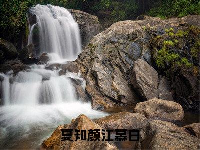 夏知颜江慕白(夏知颜江慕白小说)最新在线阅读_夏知颜江慕白小说免费阅读