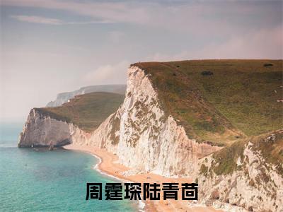 周霆琛陆青茴（周霆琛陆青茴）全文免费阅读无弹窗大结局_(周霆琛陆青茴免费阅读)周霆琛陆青茴无弹窗最新章节列表_笔趣阁（周霆琛陆青茴）