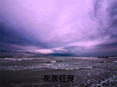 聂暖暖乔雨晏小说免费阅读（灰灰狂宠）全文免费阅读无弹窗大结局_聂暖暖乔雨晏小说免费阅读最新章节列表_笔趣阁（灰灰狂宠）