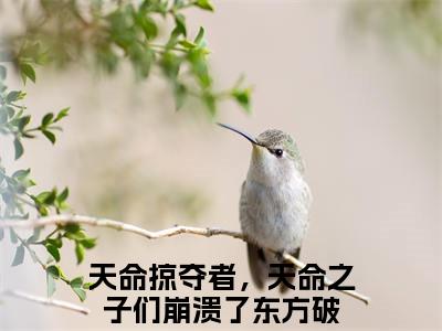 主角为天命掠夺者，天命之子们崩溃了的小说（东方破）无弹窗大结局-最新小说东方破全文阅读最新章节列表_笔趣阁