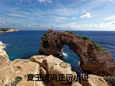 夏玉灵冯正沅(夏玉灵冯正沅)全文免费阅读无弹窗大结局_夏玉灵冯正沅免费阅读全文无弹窗_笔趣阁