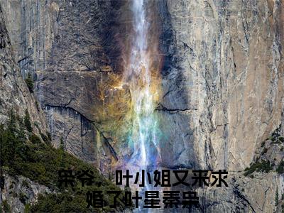枭爷，叶小姐又来求婚了全文免费阅读无弹窗大结局_ (叶星秦枭)枭爷，叶小姐又来求婚了在线阅读无弹窗