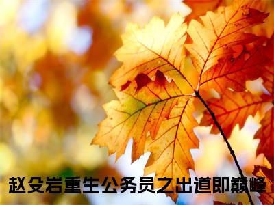 赵殳岩小说全文免费阅读无弹窗大结局_（赵殳岩全文免费阅读）重生公务员之出道即巅峰最新章节列表笔趣阁