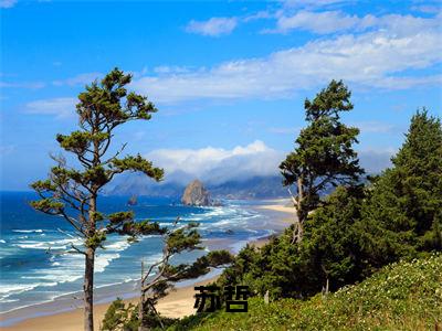 重生：秀翻娱乐圈全文免费阅读 苏哲章节免费阅读