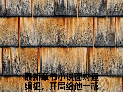 面对通缉犯，开局给他一板砖(苏墨)全文免费阅读大结局_面对通缉犯，开局给他一板砖（苏墨在线小说免费阅读）全文阅读大结局