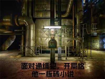 苏墨（面对通缉犯，开局给他一板砖）全文免费阅读无弹窗大结局_（面对通缉犯，开局给他一板砖无弹窗）_笔趣阁